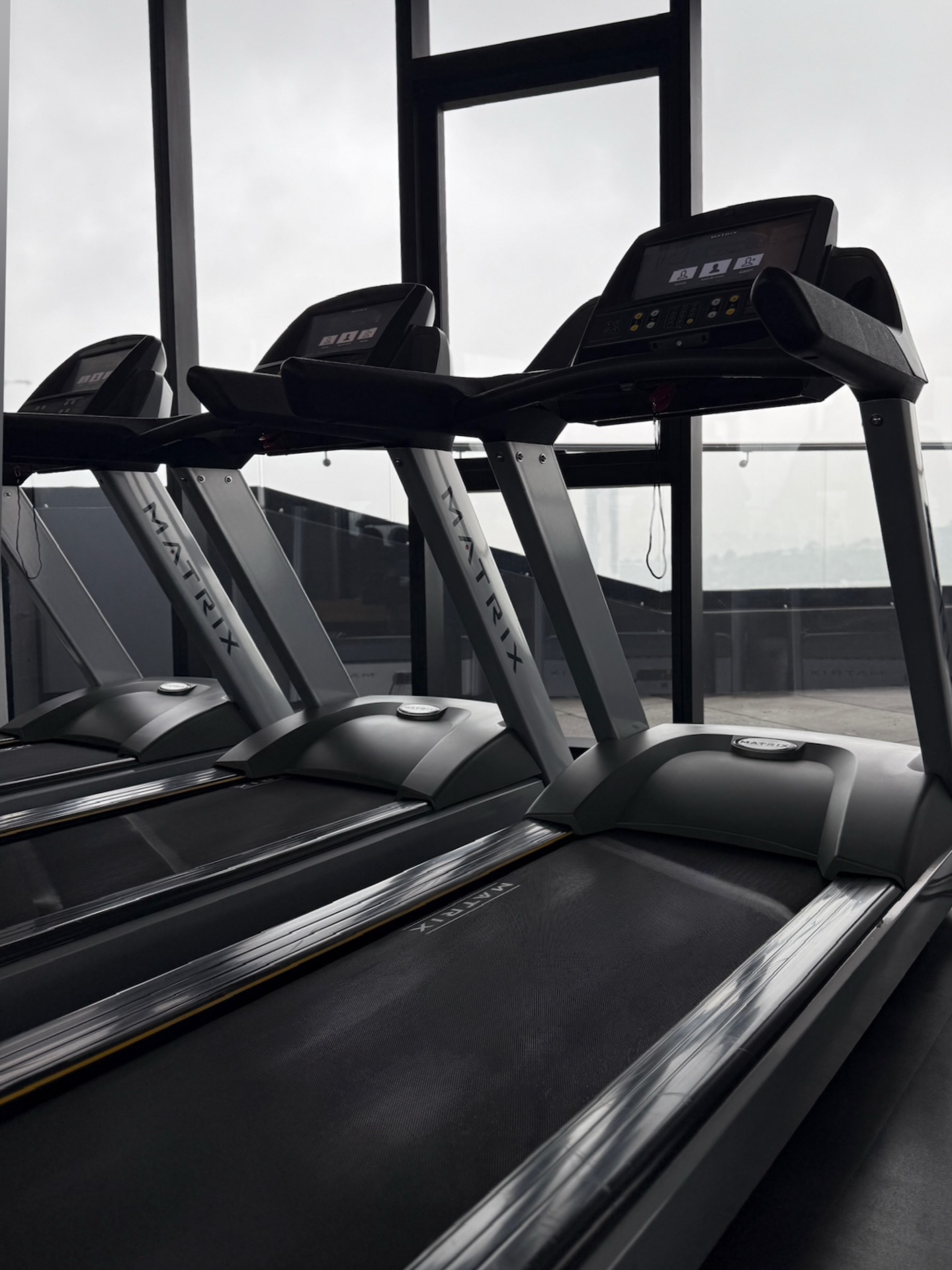 Proyecto Bosque Real - bosquereal1.jpeg