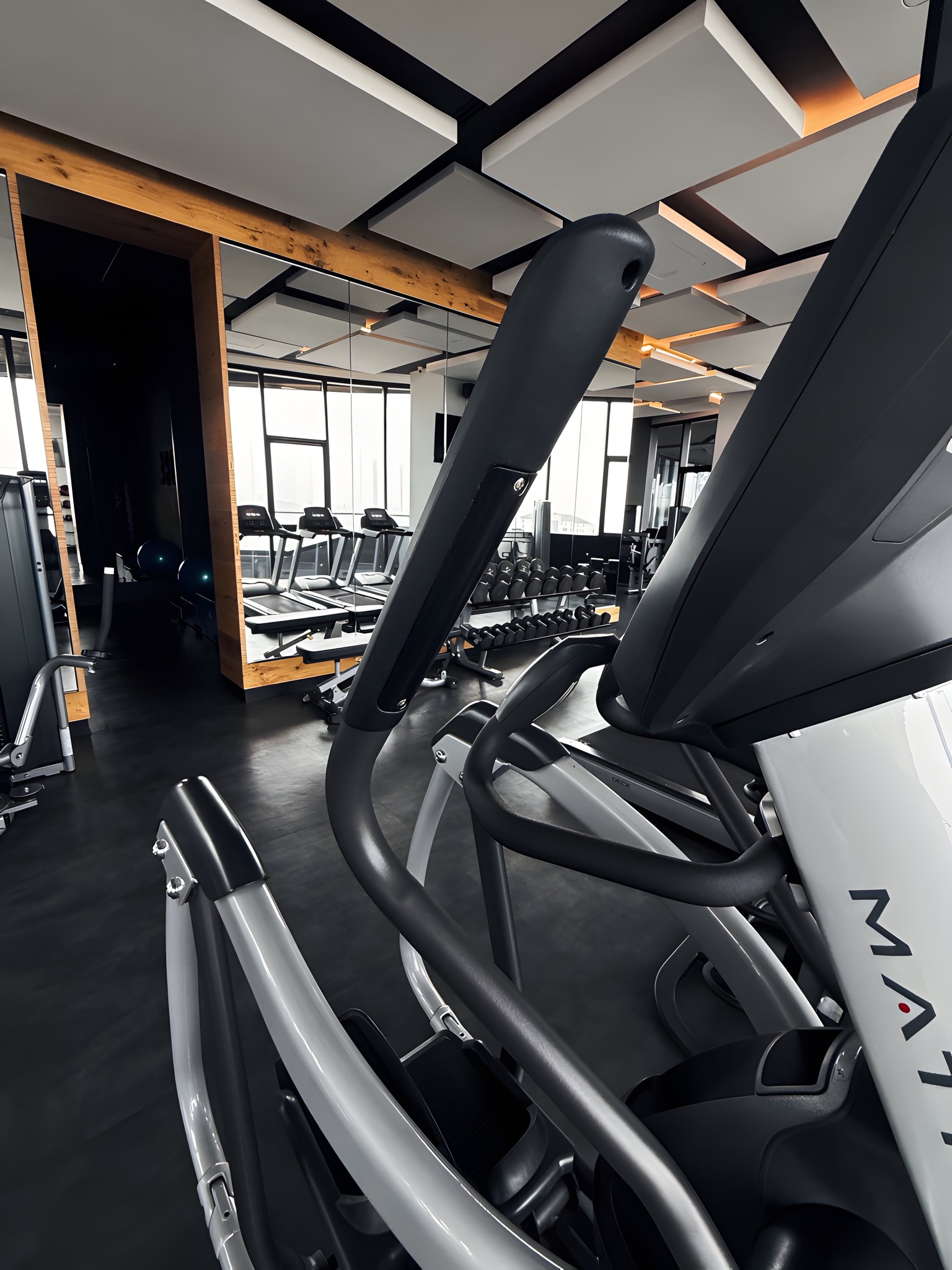 Proyecto Bosque Real - bosquereal16.JPG