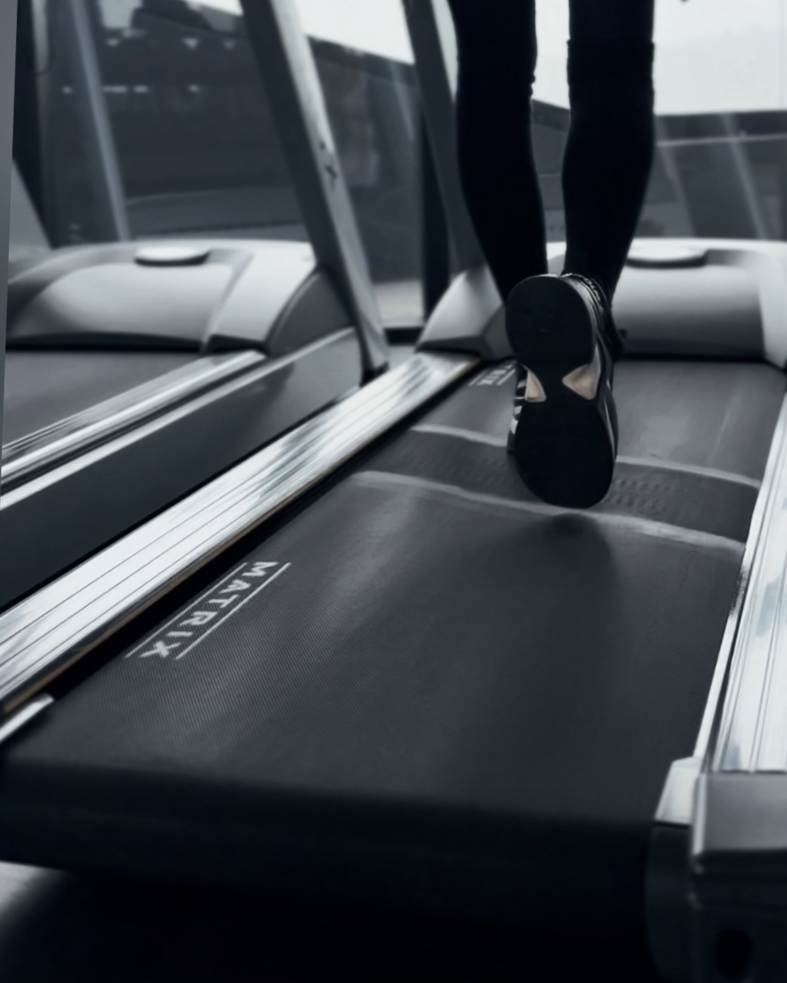 Proyecto Bosque Real - bosquereal2.jpeg