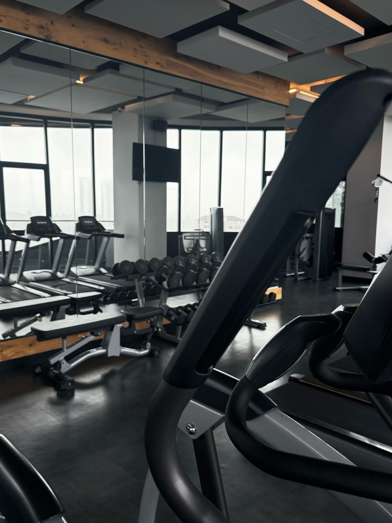 Proyecto Bosque Real - bosquereal4.jpeg